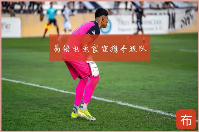 易倍电竞官宣携手狼队